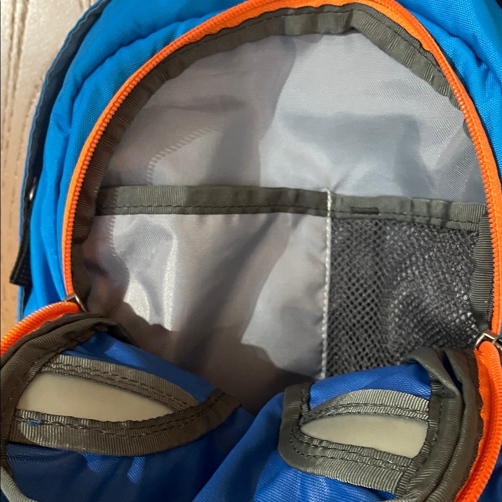 Patagonia Vibrant Blue and Orange Backpack - Picture 3 of 9